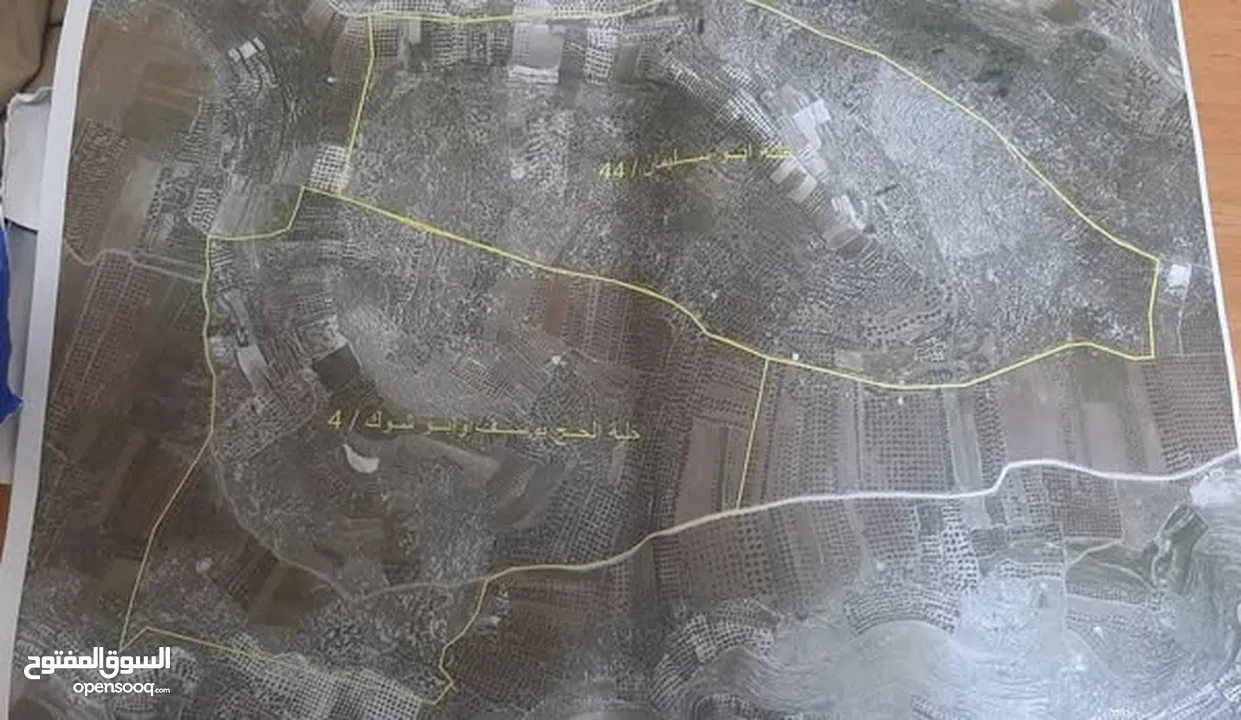 ارض مزروعة زيتون للبيع في صووريف