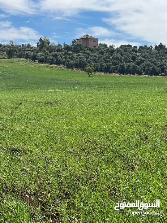 ارض للبيع جرش عنيبه منطقة شاليهات مساحة الارض 3500متر بقوشان مستقل اطلاله مميزه جدا جدا