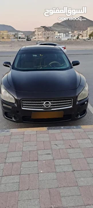 nissan maxima 2011