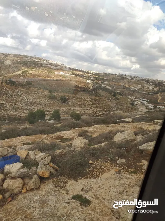 كوشان طابو فلسطيني