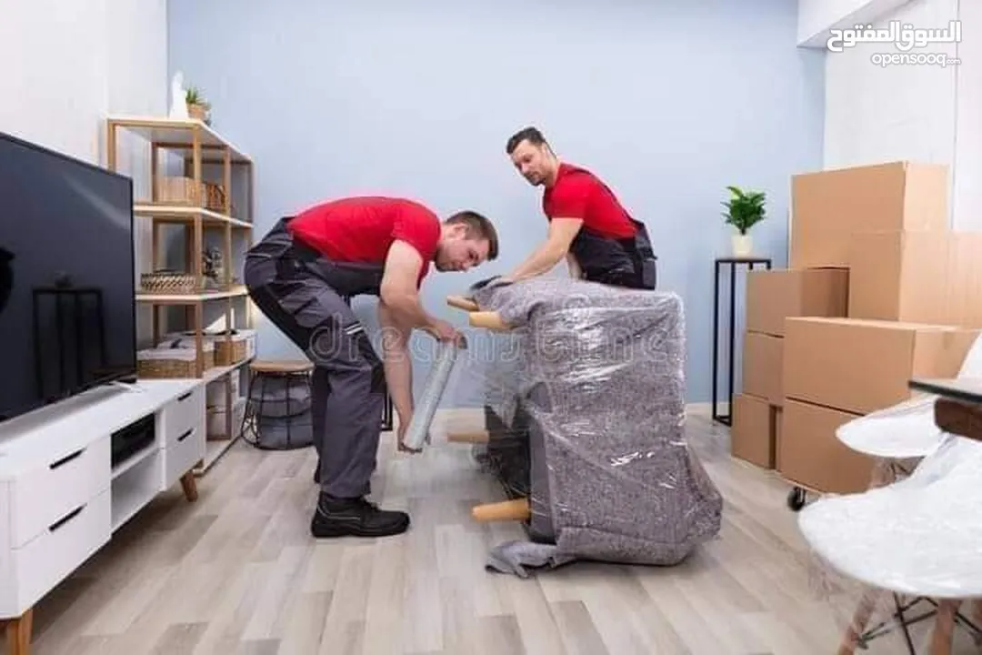 best movers packers