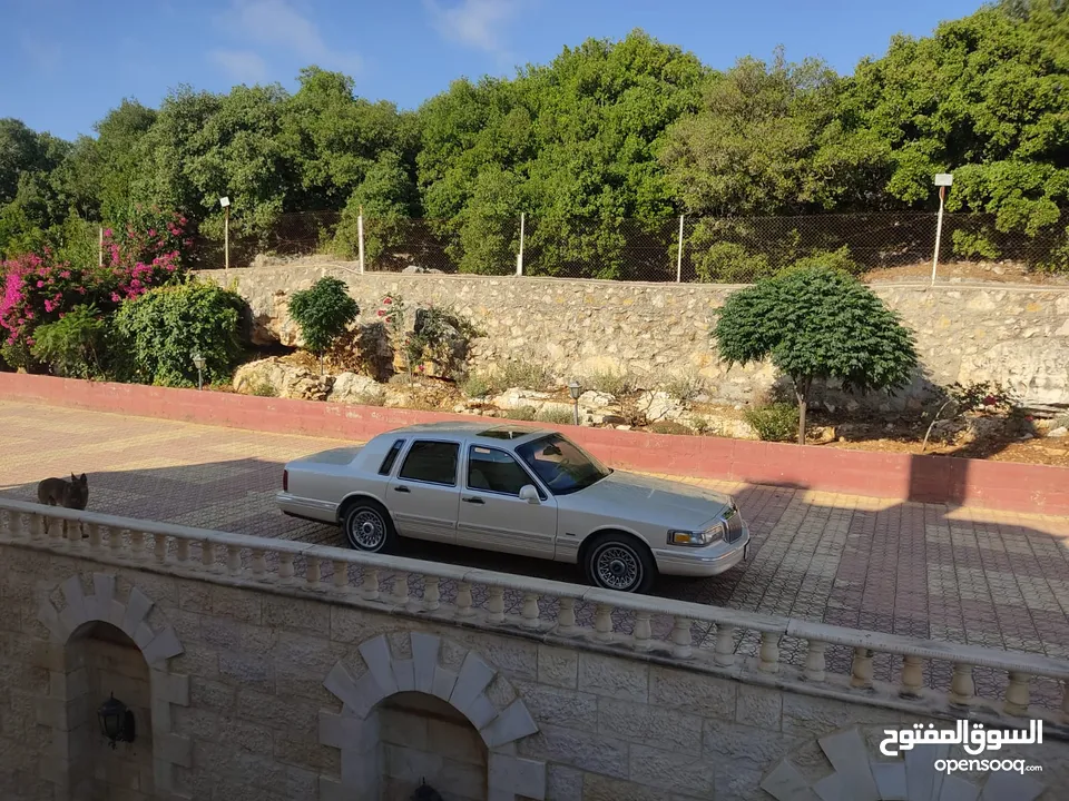 LINCOLN TOWN CAR (CARTIER)