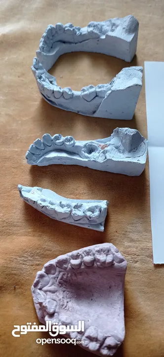 اسنان و نماذج اسنان ومواد طب اسنان (( مجموعة 3 ))