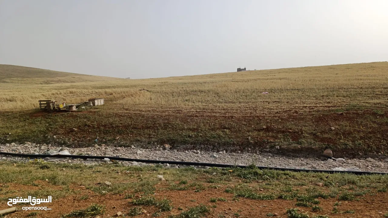 ارض سكنيه مساحه 537.960 متر بسعر لقطه اراضي محافظة العاصمه جنوب عمان سالم