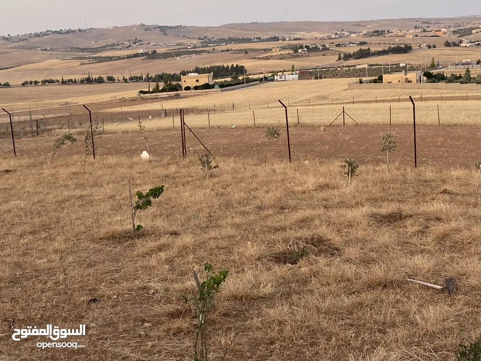 مزرعة للبيع مع بناء للبيع في لب حوض الغدير - مادبا مع امكانية البدل على شقة