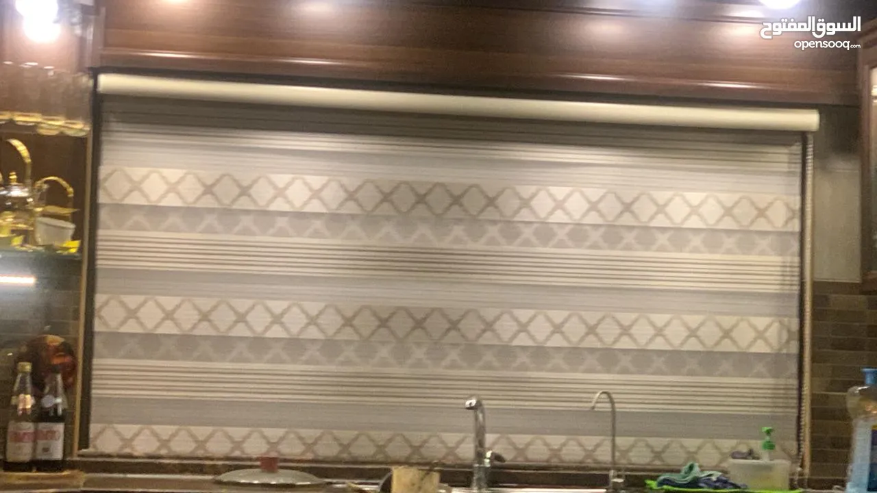 برادي زيبرا