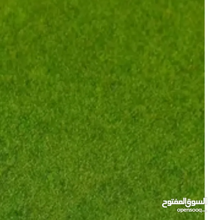 عشب صناعي 300متر