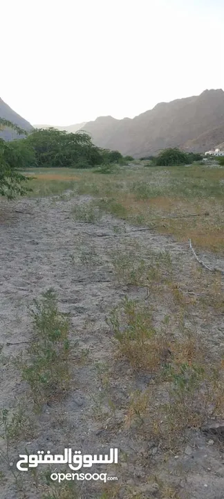 أرض زراعية للبيع بمساحة كبيرة جدًا مع وجود بئر قديم