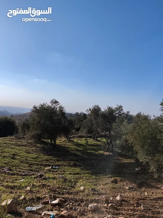 400 متر للبيع في غرب حلحول