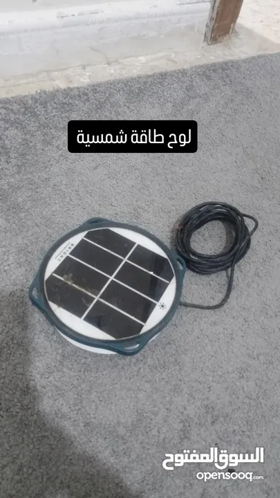 للبدل على عصافير اعرض شو عندك للبدل....للبدل على عصافير اعرض شو عندك للبدل....للبدل على عصافير اعرض