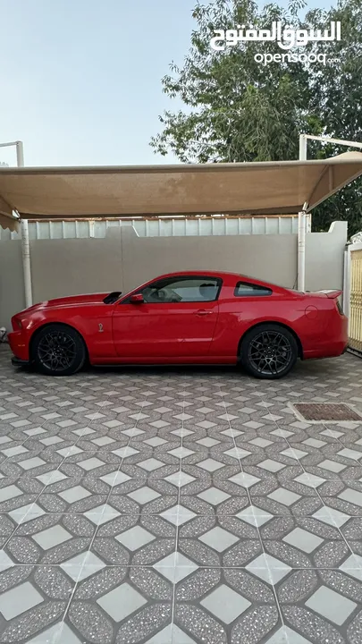 شيلبي Shelby GT500 2014