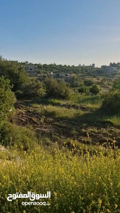 ارض للبيد ل ع سياره اودفع حسب  الاتفاق  في كفر نعمه مساحه دونم و250متر سكن با