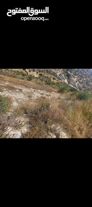 ارض للبيع قرب ضاحية الغدير ابو قش فوق الضاحية من أراضي جفنا سعر حرق