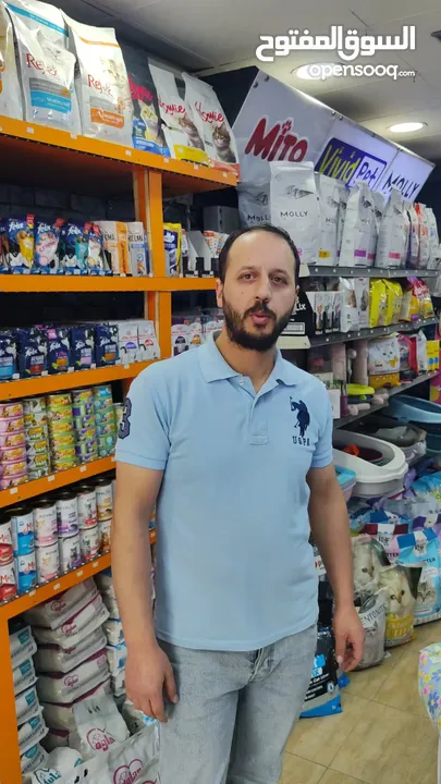 قطط برتش بيور ، العمر شهرين نصيحة شوف الريلز و العرض السفاح قبل ما يروح عليك العرض