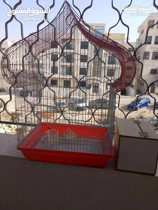 قفص عصافير مميز