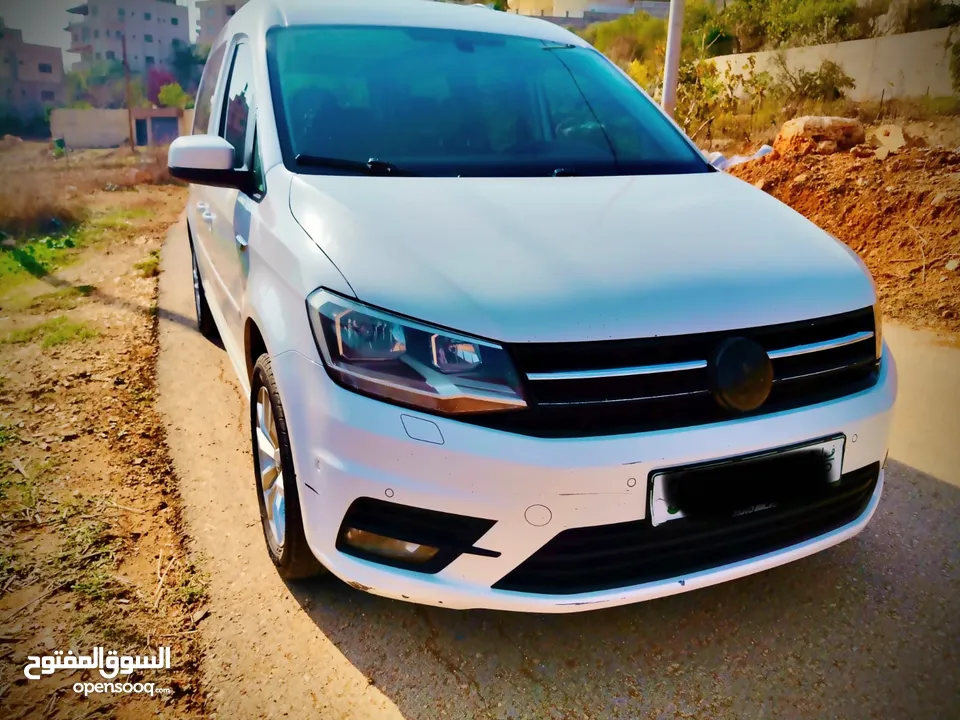 كادي 2020 شصي طويل فحص نخب النخب فل الفل