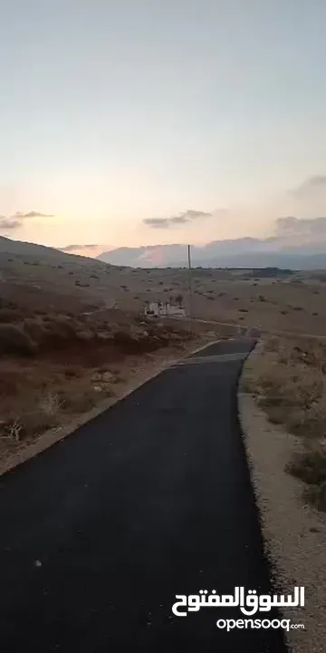 ارض للبيع في النصارية.العقربنايه
