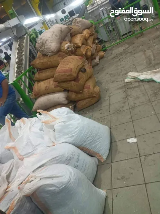 بعل رومي مضمون ومكفول وافحص وين مابدك حصل علا شهاده اعتماد من الغذا ودوا