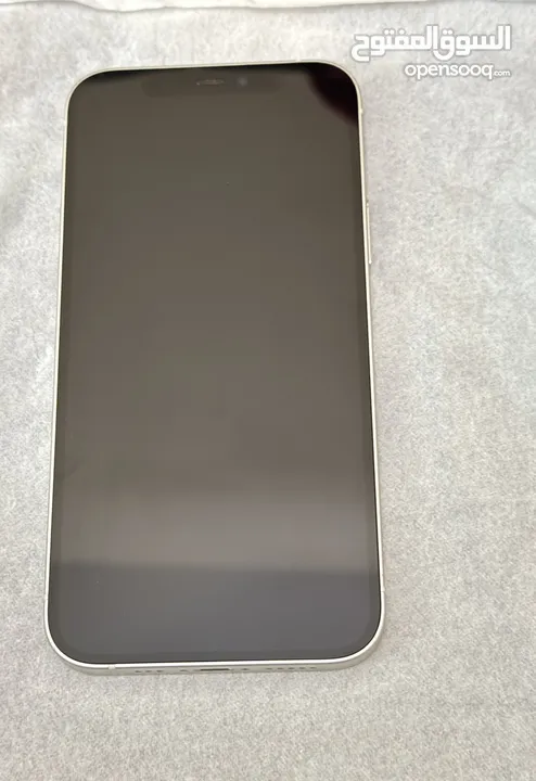 Regular iPhone 12