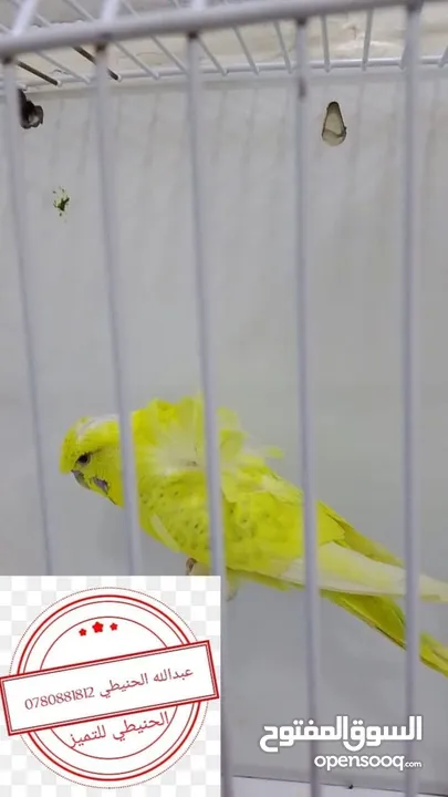 سعر حرققققق