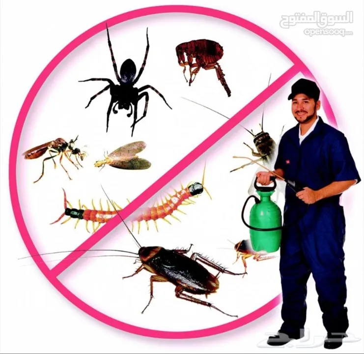 شركه رش مبيدات الحشرات مكافحة الحشرات نهائيا مع الضمان