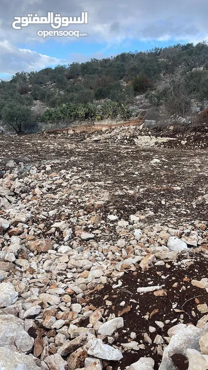 أرض للبيع في جنوب  غرب كفرراعي على شارع رئيسي واصل جميع الخدمات
