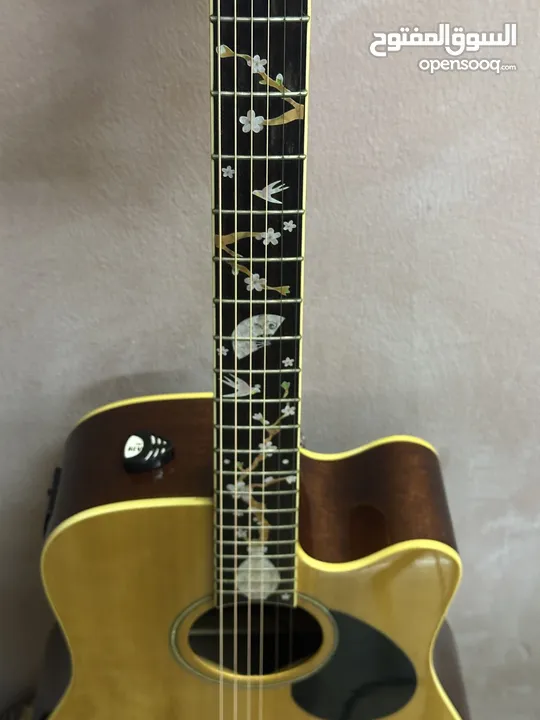 Samick Greg Bennet Acoustic Guitar