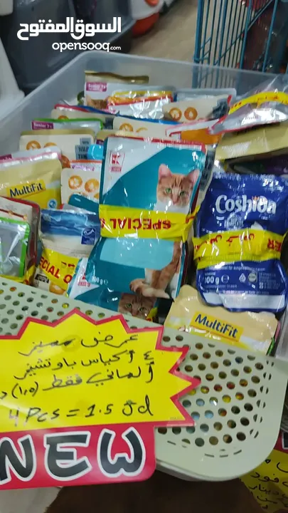 اكل رطب للقطط