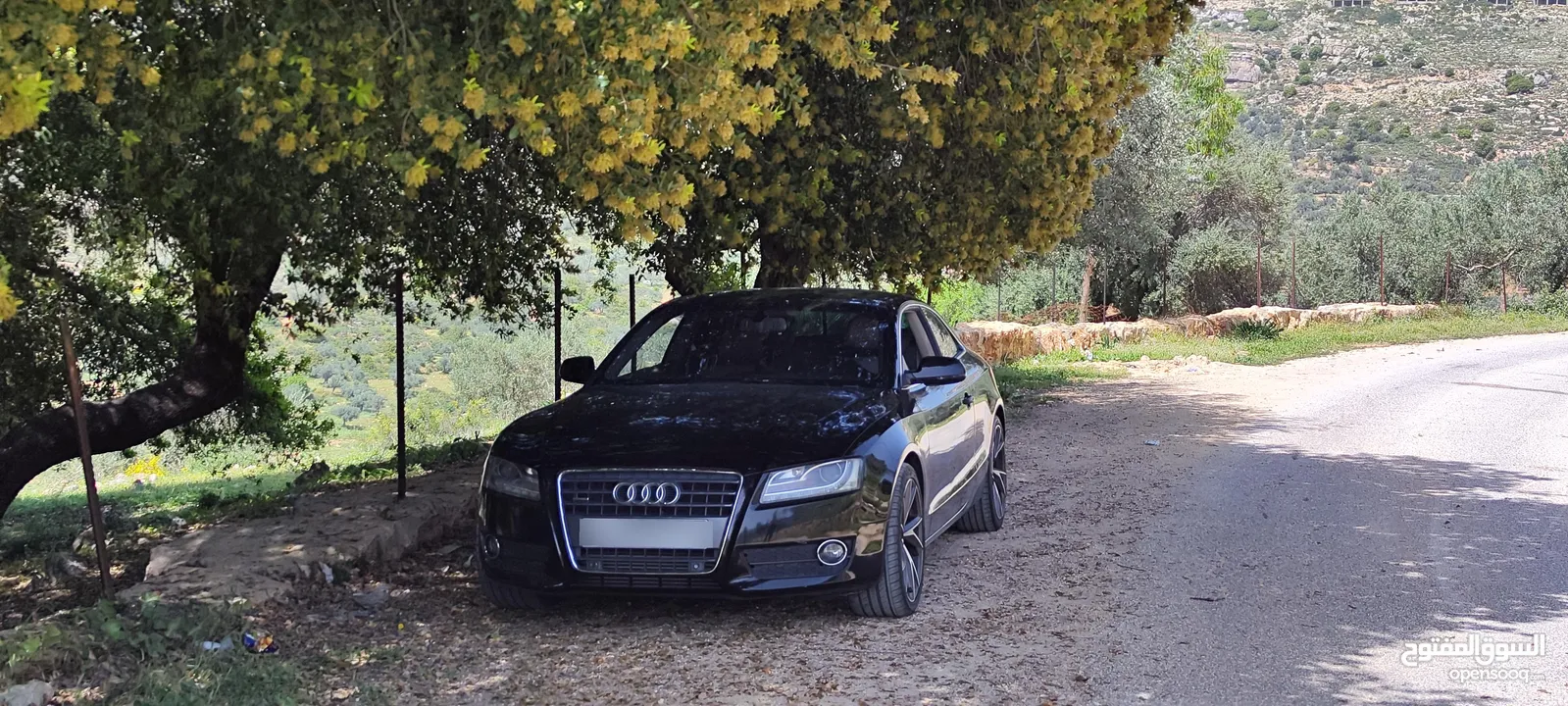 Audi A5 Coupe 2011