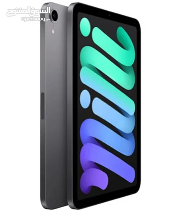 IPad mini 6