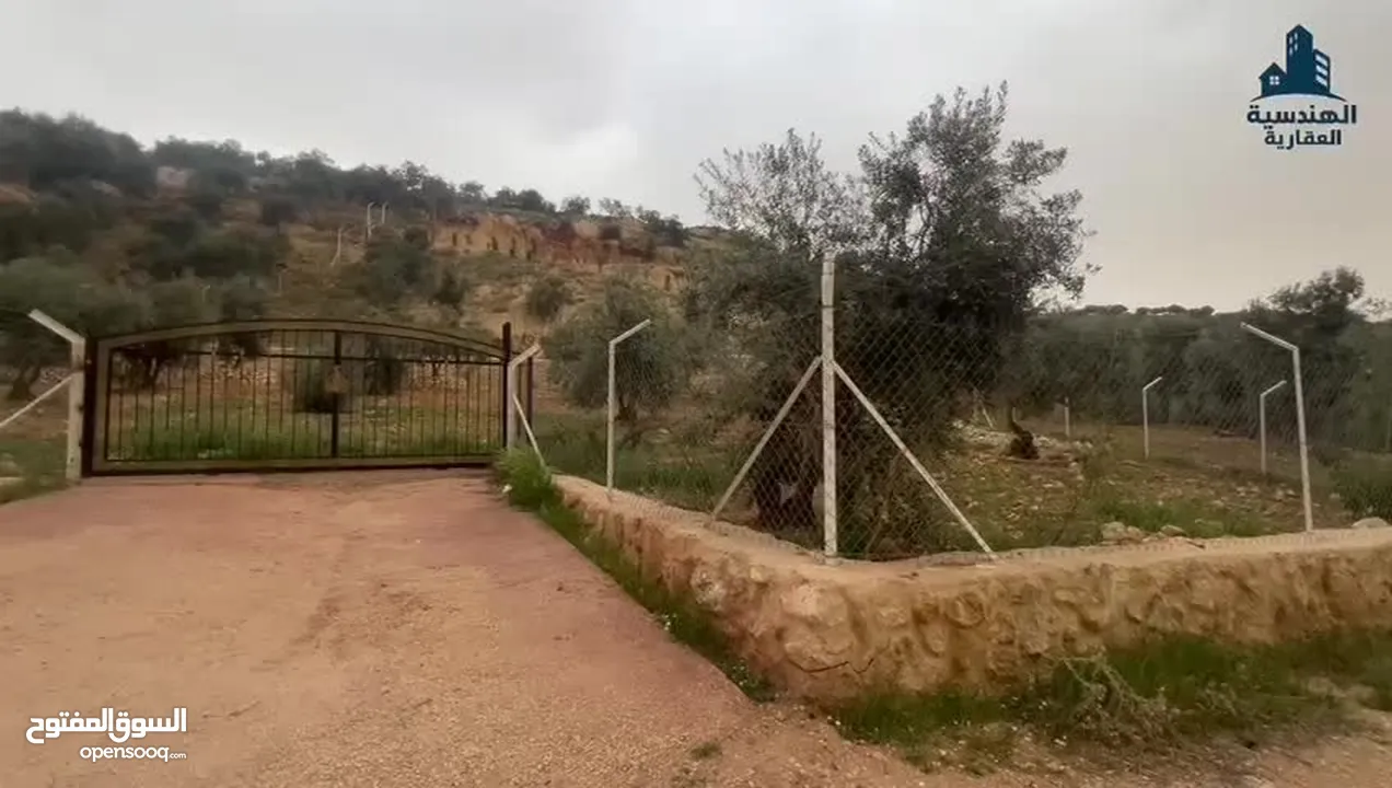 مزرعة للبيع من اراضي غرب عمان  منطقة البصة (ابو السوس ) للبيع بسعر مغري