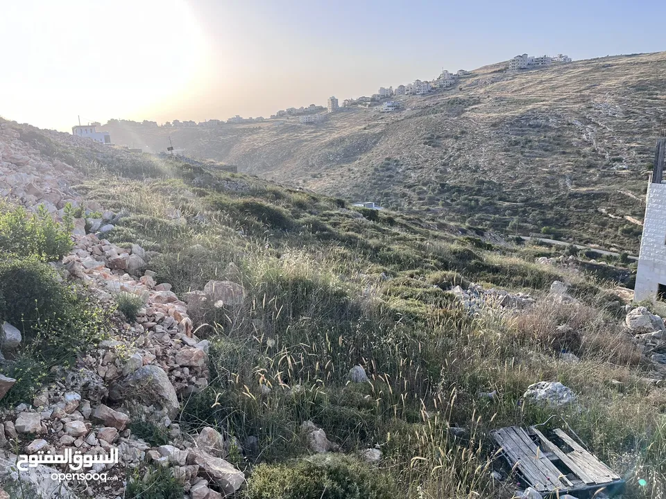 قطعه ارض للبيع قريبه على نابلس الجديده