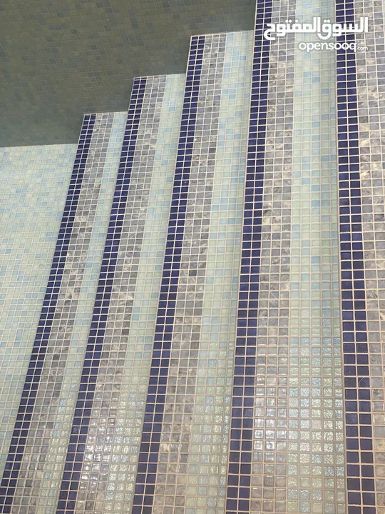 تخصص برك سباحه  مقاولات