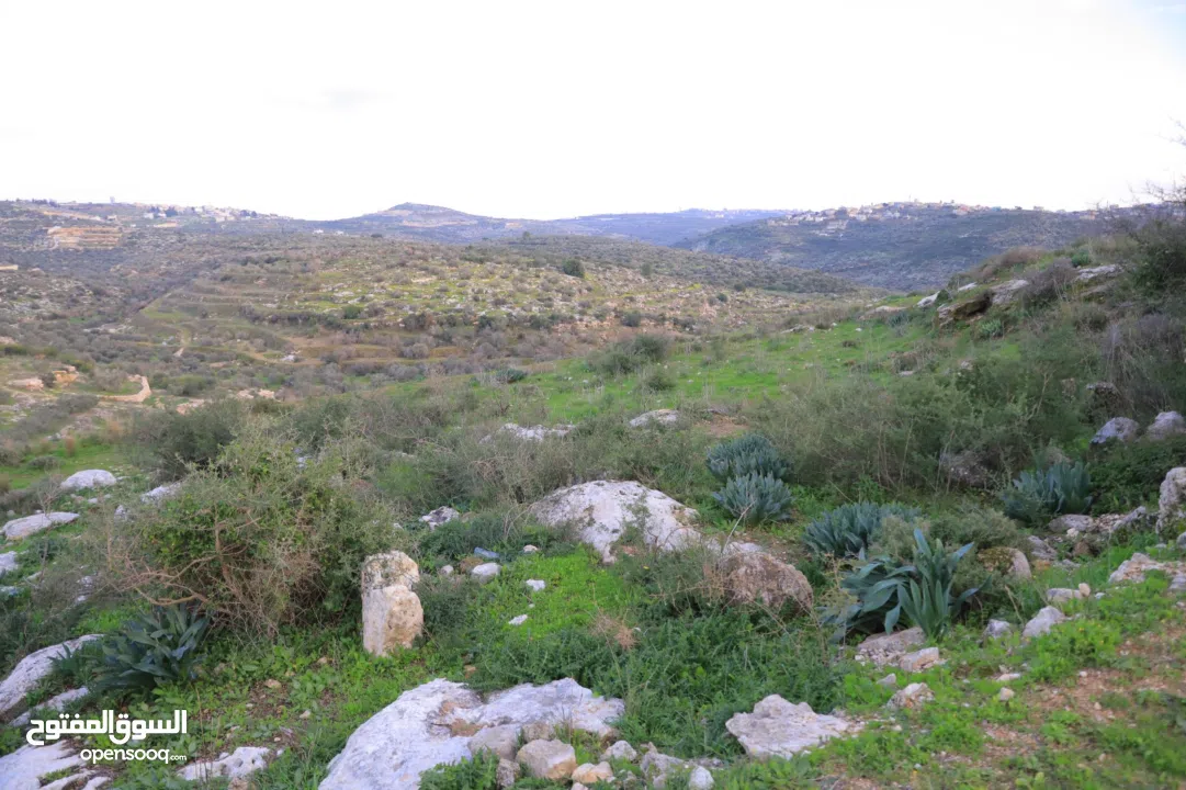 دونم ارض طابوا فلسطيني منطقة (B)بالقرب من دوار كفرصور جميع الخدمات فيها عليها شارع 12متر موقع مميز