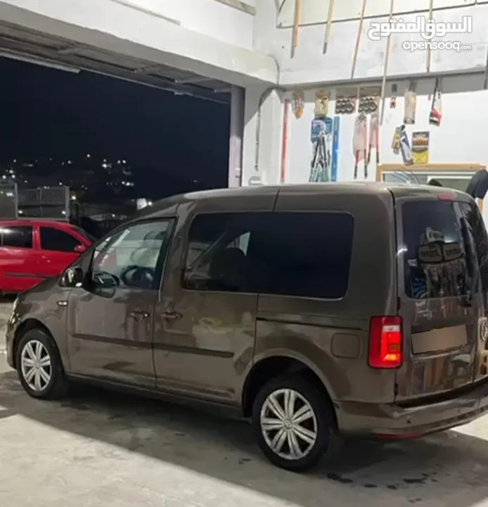 كادي شصي قصير