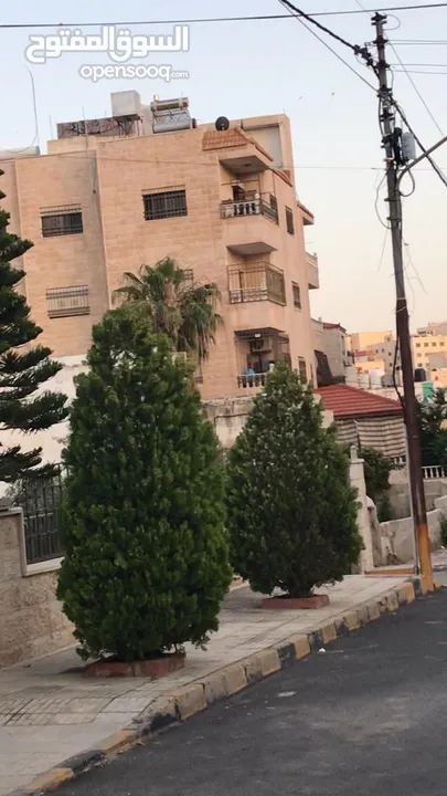 شقة للبيع من المالك طبربور