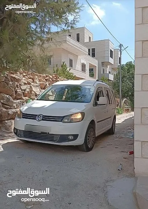 كادي شصي طويل 2015