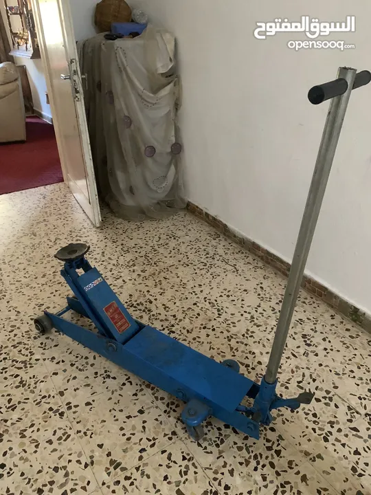 جك تمساح إيطالي للبيع