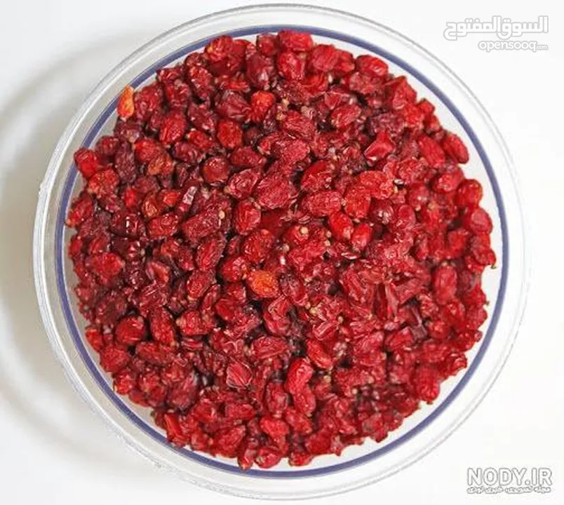 Premium puffy barberry with the highest quality