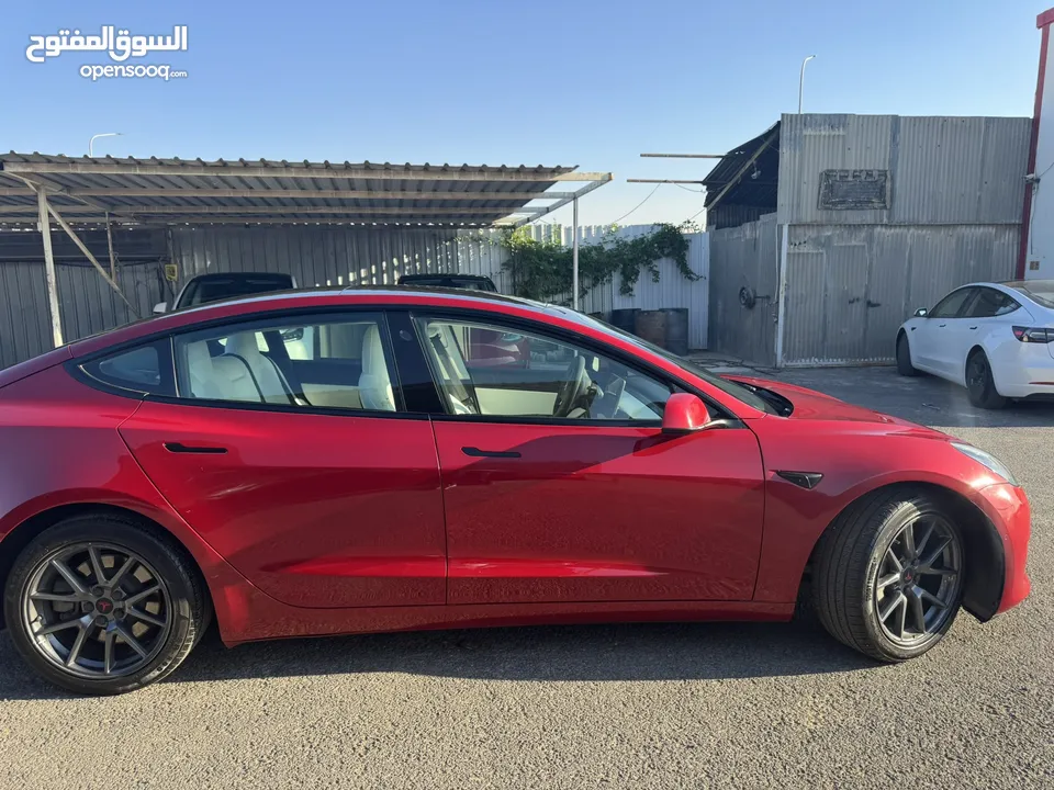 ‎‏‎‏Tesla Model 3 Standard Range Plus 2023