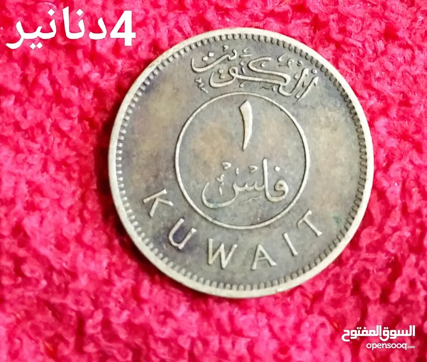 فلسات بسعر مغري للمهتمين السعر على الصور