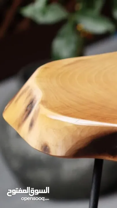 Luxury Natural Walnut Tree Stump Tables – For the Distinguished and Refined