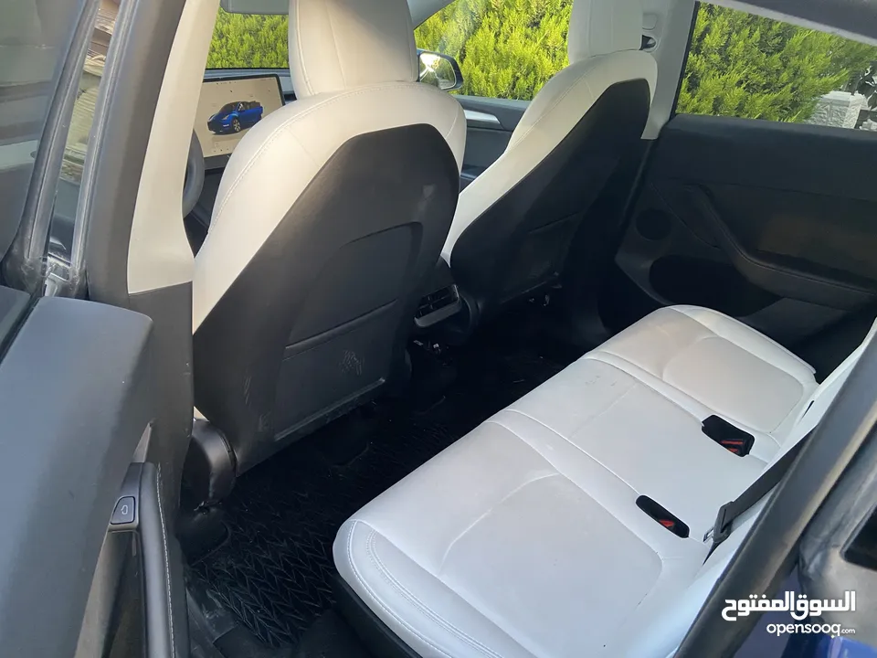 Tesla Model Y Dual Motor