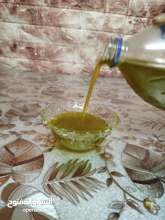 زيت زيتون جديد 2025، زيتون ترمسعيا