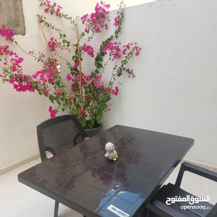 Furnished studio with very luxurious furniture for rent in the Gardens