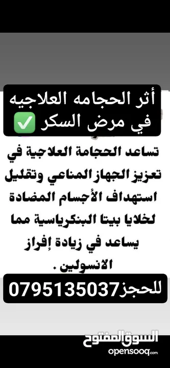 جبنه وورق عنب ملفوف جاهز للطبيخ ومقدوس ومراتبين ورق عنب وكبه ومعجنات وتبولة ومعمول وكيك ومربى وحلاوه