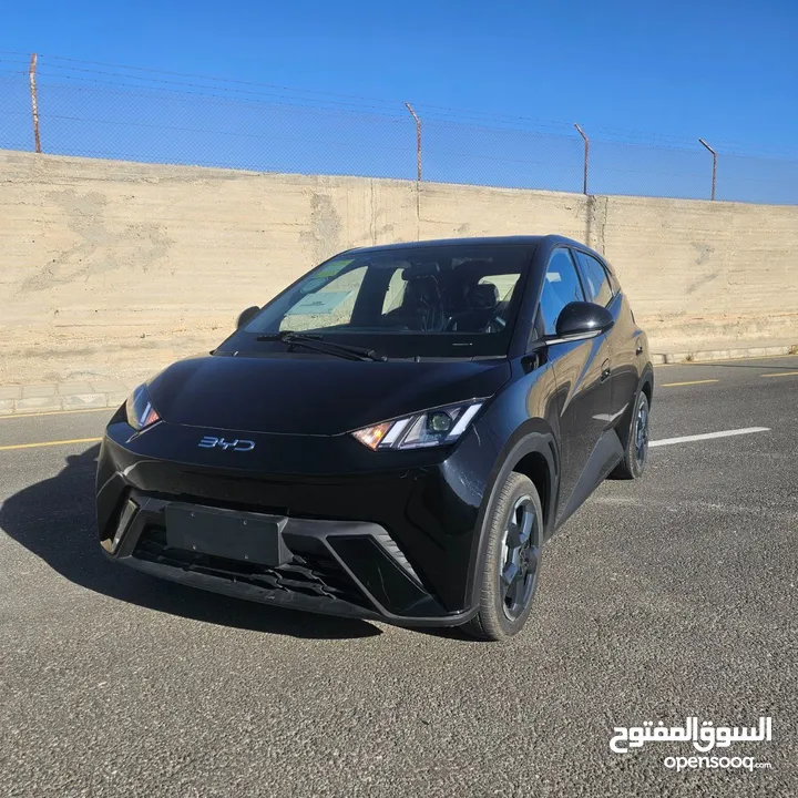 BYD سيكال 2024 شكل 2025