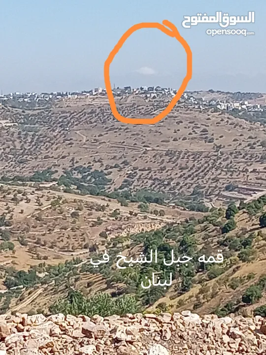 مزرعه للبيع في جرش سوف منطقه الظهره الشماليه