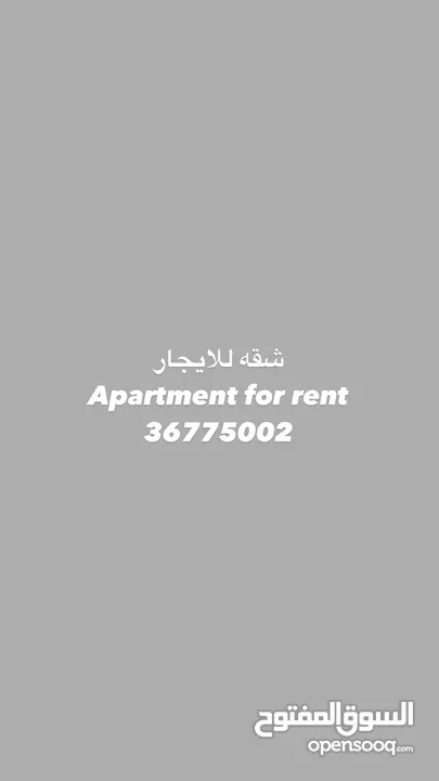 شقة للايجار Rent