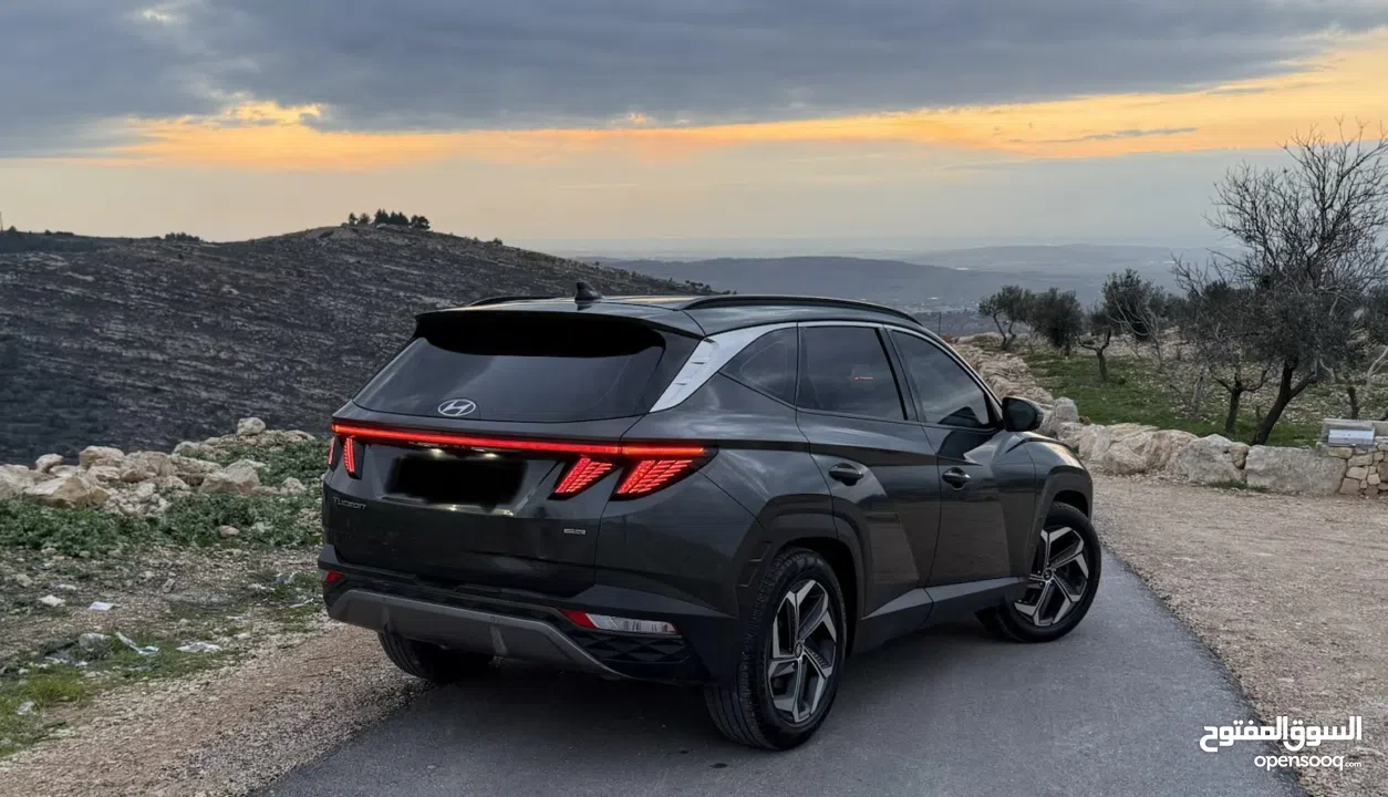 توسان 2021القصة الجديدة بسع. مغري جدا